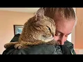 Lagu 'Feral' cat turns out to be a lovebug