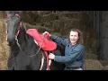 I Tested a Medieval War Saddle and Was Completely Surprised