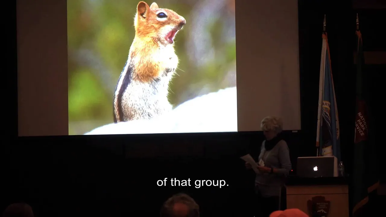 2015 Artist-in-Residence Presentation