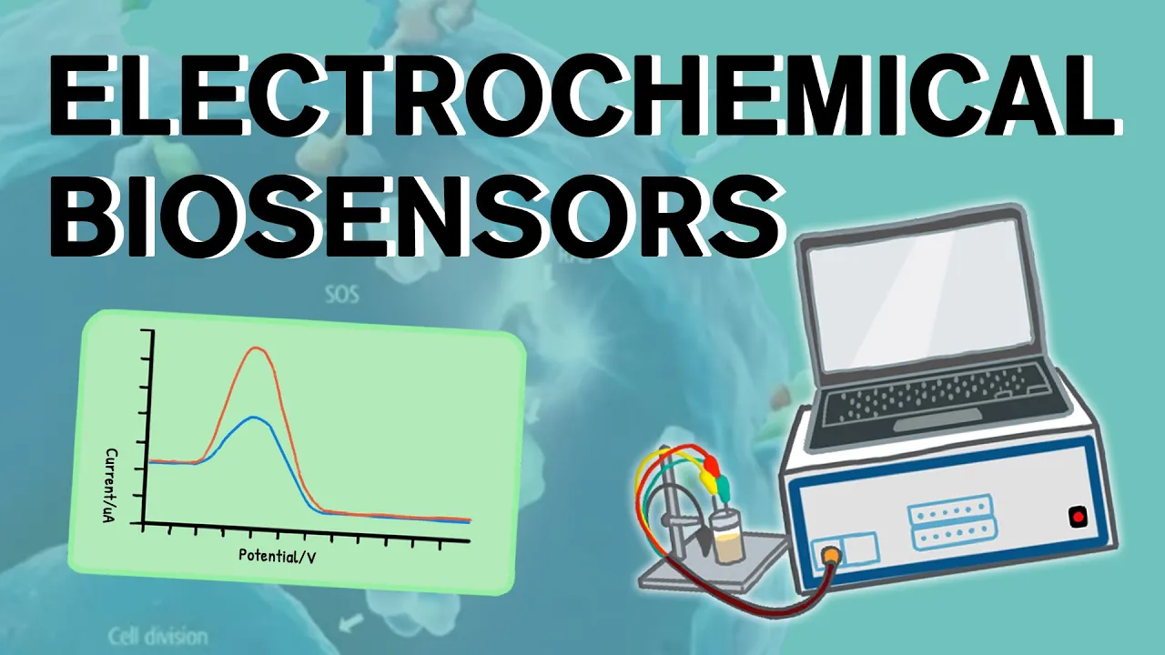 Electrochemical Biosensors Explained: Principles and Applications