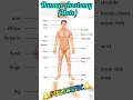 Human body parts Human male anatomy All body parts name