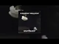 MilleniumKid - Vielleicht Vielleicht (Nelayan Techno Edit)