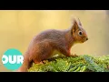 The Incredible Scottish Highlands 4K Documentary Our World