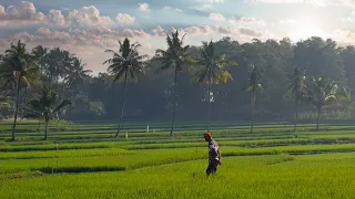 Download Kecapi Suling Sunda Merdu Mengantarkan Petani Pergi ke Sawah, Tradisional Music West Java MP3