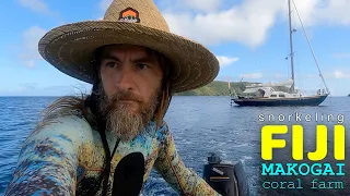 Snorkeling the Coral Farm at Makogai Island Reserch Center in Fiji