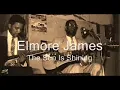 Elmore James   The Sun Is Shining