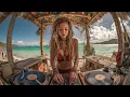 🌴 Beachside Dub Session 🌴 | Roots Reggae Vinyl Mix by Island Selectress