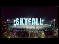 Download Lagu Skyfall lyrics ft. Virat Kohli | Mrlyrics