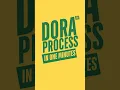 What is the D-O-R-A process