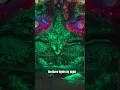Download Lagu Last Night's Northern Lights Were Insane