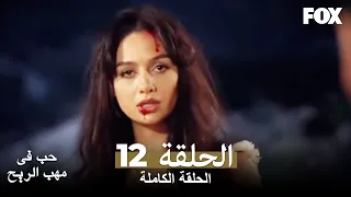 حب في مهب الريح الحلقة 12 كاملة Yer Gök Aşk 