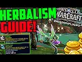 The Ultimate Dragonflight Herbalism Guide