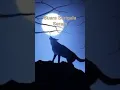 Download Lagu Suara Serigala | #shorts