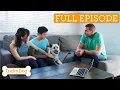 Download Lagu Stray Husky Could Be The Perfect Family Pet! | Full Episode S5 Ep2