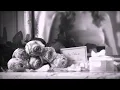 The Life of Catherine Dior
