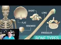 5 Types of Bones