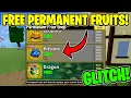 HOW TO GET FREE PERMANENT FRUITS IN BLOX FRUITS