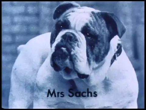 The Falls (1980) Trailer - Director: Peter Greenaway, Music By: Michael Nyman