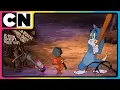 Download Lagu Tom and Jerry 😺🐭| Cat. Mouse. Mayhem. Repeat!😆| Best Animations😆| Cartoon for Kids | @cnindia​