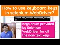 How to use Keyboard Keys in Selenium Like Escape Delete Control Tab Enter Up-down-right-left etc