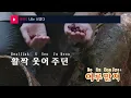 나는 너였다(I was you) - V.O.S (KY.95799) / KY Karaoke