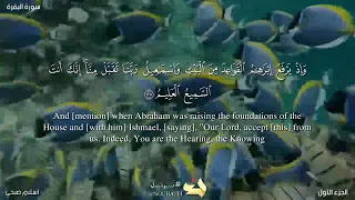 سورة البقرة صفحة 20 من الآية 127 الي الآية 134 القارئ اسلام صبحي يلا نحفظ قرآن كريم  سورة البقرة صفحة 20 من الآية 127 الي الآية 134 القارئ اسلام صبحي يلا نحفظ قرآن كريم
