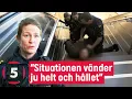 Download Lagu Gränspolisen hanterar en berusad och aggressiv man | Gränsbevakarna Sverige | Kanal 5 Sverige