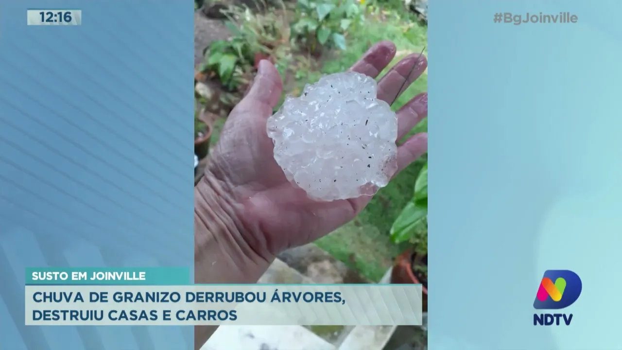 Susto em Joinville: Chuva de granizo derrubou árvores, destruiu casas e carros