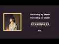 (ENG/PINYIN) Crush on · 李浩瑋 Howard Lee lyrics and english translation