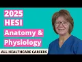 HESI A2 Anatomy and Physiology Practice Test 2025 20 Questions with Explained Answers