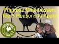 Primrose Chanhassen Top 5 Reasons to Apply