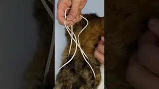 Homemade Pet Harness Tip Collar Pets Dog Cat Rope Knot Shorts 