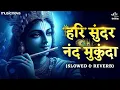 Download Lagu Hari Sundar Nand Mukund - Krishna Bhajan Lofi | हरि सुंदर नंद मुकुंदा | Bhakti Song | Bhajan Songs