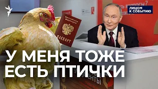 "Про войну нельзя, про куриц можно": россияне несут домашних птиц в МФЦ