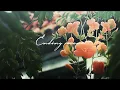 Download Lagu Ending scene [Jeon jungkook] (Cover) But you're outside.