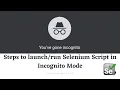 Run your Selenium Script in Incognito mode ChromeOptions Java Selenium WebDriver