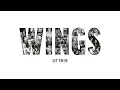 Paul McCartney & Wings - Let 'Em In (Audio)
