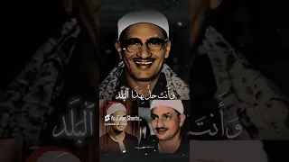 لا أقسم بهذا البلد المنشاوي 