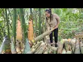 Download Lagu Oogst gigantische bamboescheuten, eenden drijven in beekjes, gaat naar de markt om te verkopen, k...