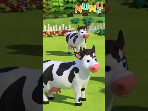 Este ovo é seu? | O ovo da vaca 🥚 | #shorts #Nunutv | Música Infantil | O Bebê NuNu do Coração