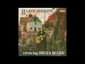 Download Lagu Black Sabbath - Paranoid  (12-string Delta blues)