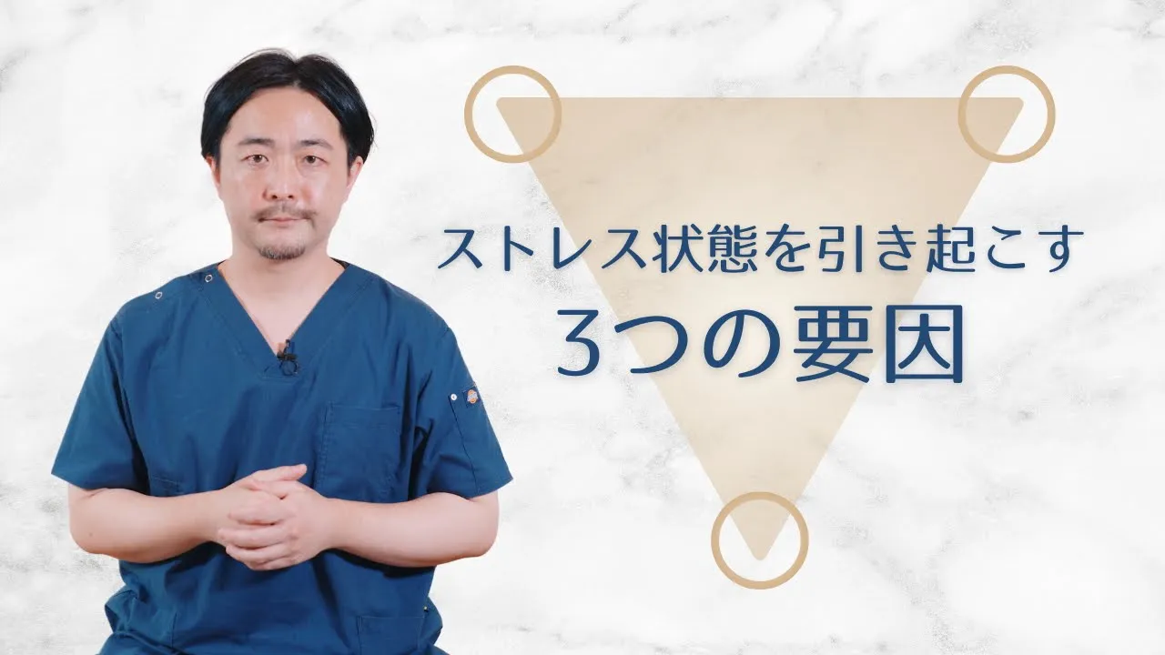 『ストレス』状態を引き起こす3つの要因  INVANA