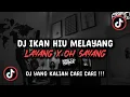 DJ IKAN HIU MELAYANG LAYANG X OH SAYANG SOUND Dj Danvata VIRAL TIK TOK TERBARU 2025 !!!