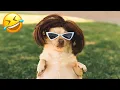 Hump Day Memes - Funny Parenting Memes