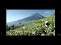 Download Lagu iklan rokok djarum coklat anugerah alam indonesia 2014 comeback revisi 2022 salah rolol phw