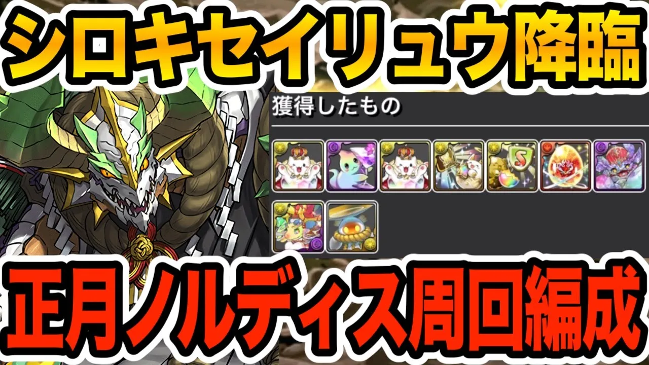 【シロキセイリュウ降臨】正月ノルディスで快適周回!報酬もウマいぞ!!!【パズドラ】