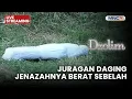 🔴JURAGAN DAGING JENAZAHNYA BERAT SEBELAH | LIVE DZOLIM | 25 NOVEMBER 2025