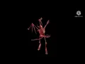 awesome gifs