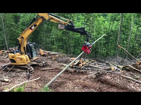 Nisula 425C with Cat 314C