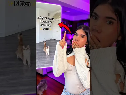 Resultado: hicimos el TREND +RARO y VIRAL Con mis GATOS!!🐈😻😱